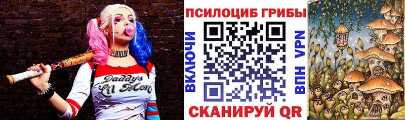 Псилоцибиновые грибы Psilocybine cubensis  сколько стоит  Власиха 